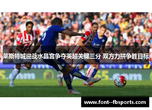 莱斯特城迎战水晶宫争夺英超关键三分 双方力拼争胜目标 莱斯特城迎战水晶宫争夺英超关键三分 双方力拼争胜目标